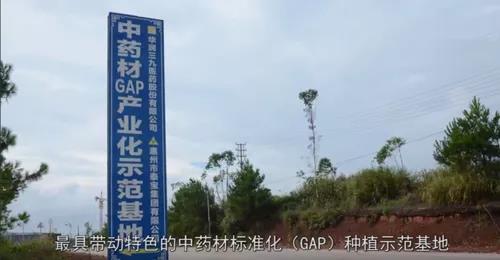 泰宝中医药健康养生产业园